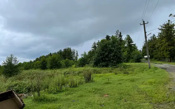 1501 m² Land Plot in Ureki, photo 6