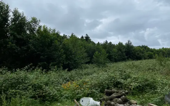 1501 m² Land Plot in Ureki, photo 2