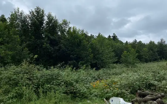 1501 m² Land Plot in Ureki, photo 3