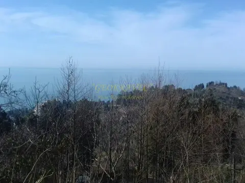 Продается земельный участок в Махинджаури с прекрасным видом на море, город Батуми и горы.