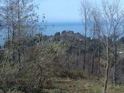 Продается земельный участок в Махинджаури с прекрасным видом на море, город Батуми и горы.