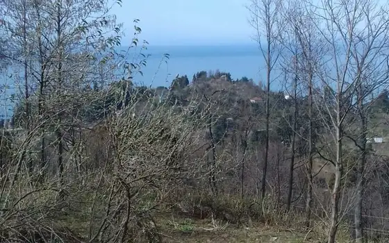 Продается земельный участок в Махинджаури с прекрасным видом на море, город Батуми и горы.