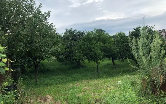 Продается инвестиционный земельный участок в Городе Батуми.