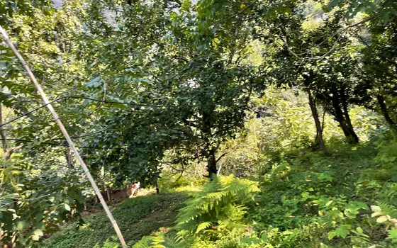 Land Plot in Kvariati with Sea View, photo 3
