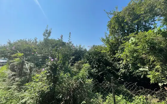 Land Plot in Gonio Near Sea, photo 4