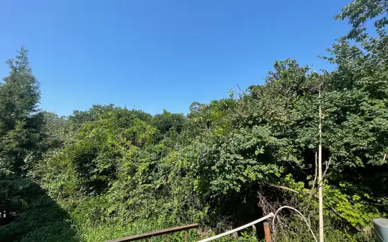Land Plot in Gonio Near Sea, photo 8