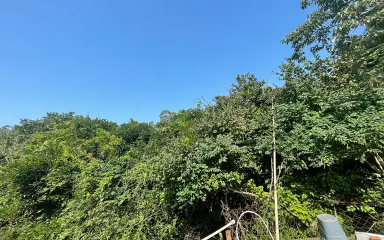 Land Plot in Gonio Near Sea, photo 9