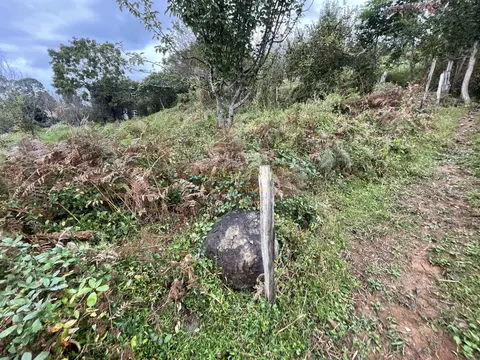 Продается земельный участок в тихом месте в Ахалсопели.