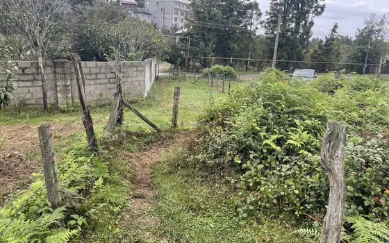 Продается земельный участок в тихом месте в Ахалсопели.