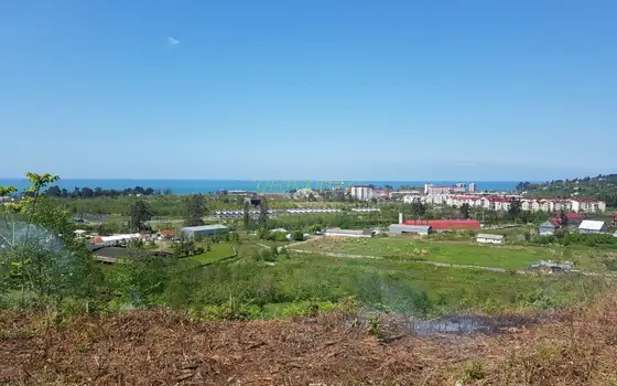 Сельскохозяйственная земля недалеко от Батуми, с видом на море и город. - სურათი 1
