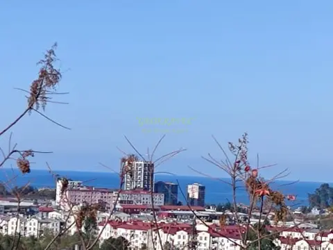 Сельскохозяйственная земля недалеко от Батуми, с видом на море и город.