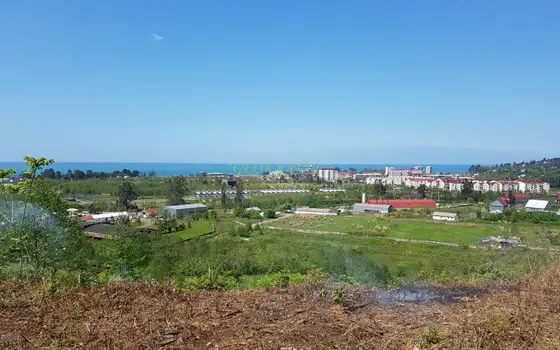 Сельскохозяйственная земля недалеко от Батуми, с видом на море и город. - изображение 1
