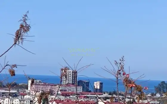 Сельскохозяйственная земля недалеко от Батуми, с видом на море и город.