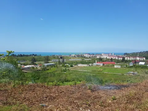 Сельскохозяйственная земля недалеко от Батуми, с видом на море и город. - изображение 1
