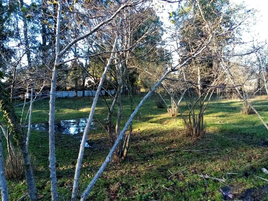 Сельскохозяйственная земля, недалеко от моря, с видом на горы в курортной зоне.