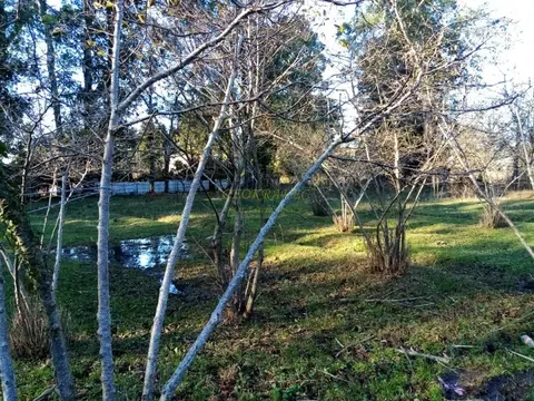 Сельскохозяйственная земля, недалеко от моря, с видом на горы в курортной зоне.