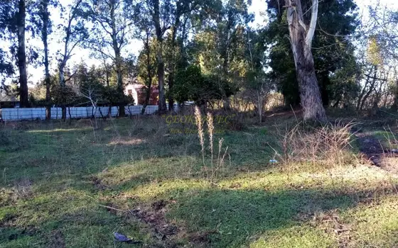 Сельскохозяйственная земля, недалеко от моря, с видом на горы в курортной зоне.