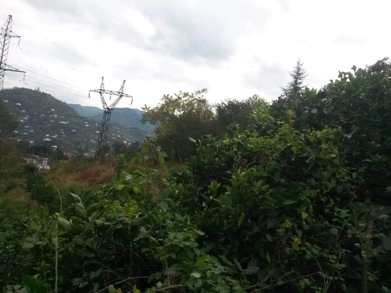 Land Plot in Feria with Panoramic Views, photo 1
