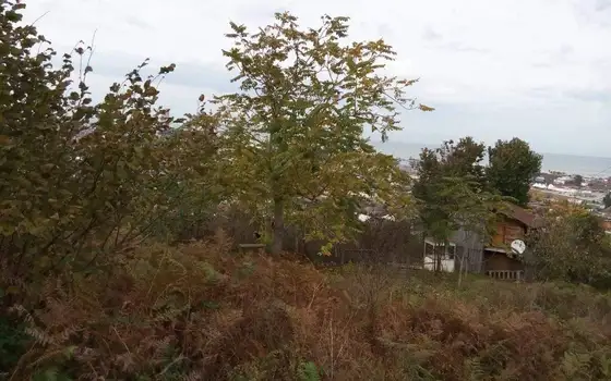 Land Plot in Feria with Panoramic Views, photo 4