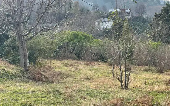 Сельскохозяйственная земля в пригороде Батуми у реки.