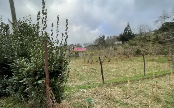 Участок под дачу недалеко от Батуми, в зеленой зоне.