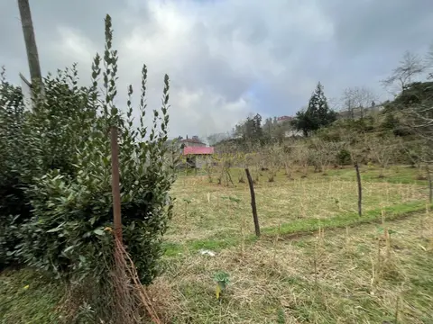 Участок под дачу недалеко от Батуми, в зеленой зоне.