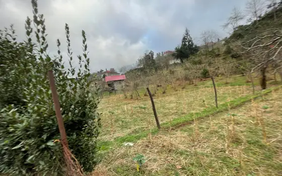 Участок под дачу недалеко от Батуми, в зеленой зоне.
