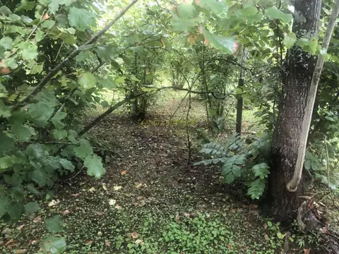 Продается земельный участок у моря в Бобоквати, Кобулетский муниципалитет. Грузия.