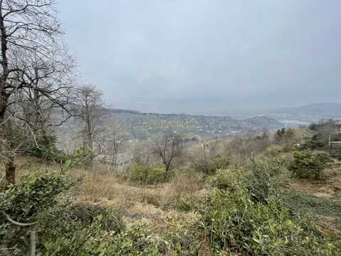 На продаже участок 15 км-ах от города Батуми и от побережья черного моря.
