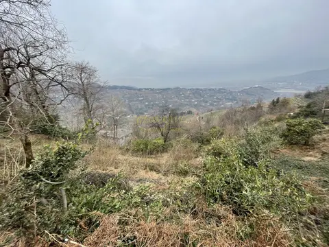 На продаже участок 15 км-ах от города Батуми и от побережья черного моря.