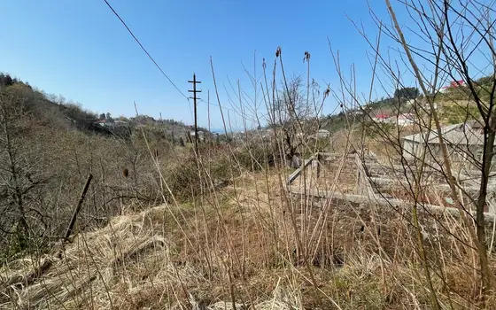 Участок 5000 м² у моря Батуми - სურათი 1