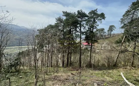 Срочная продажа земельного участка в 15 км-ах от города Батуми.