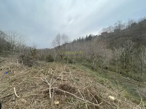 Продается земельный участок в тихом и спокойном месте в Махинджаури.