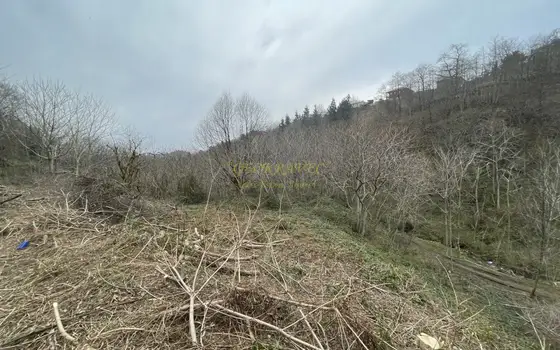 Продается земельный участок в тихом и спокойном месте в Махинджаури.