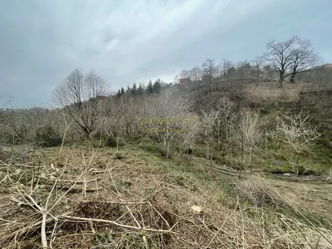 Продается земельный участок в тихом и спокойном месте в Махинджаури.