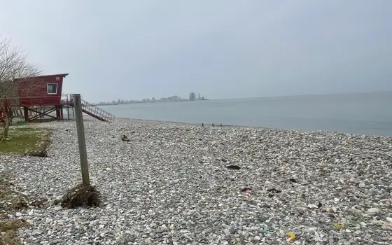 Частный дом у морских волн.