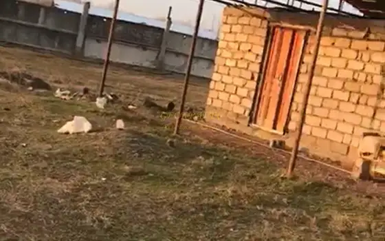 Продается земельный участок срочно с озером.