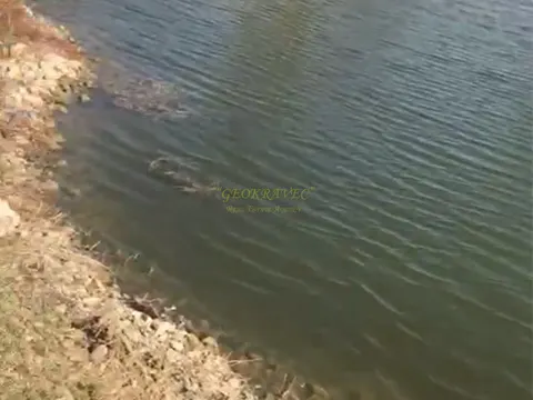 Продается земельный участок срочно с озером.