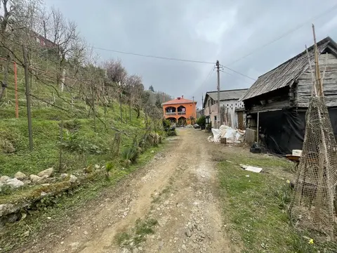 Продается частный дом с прекрасным видом в Ахалсопели.