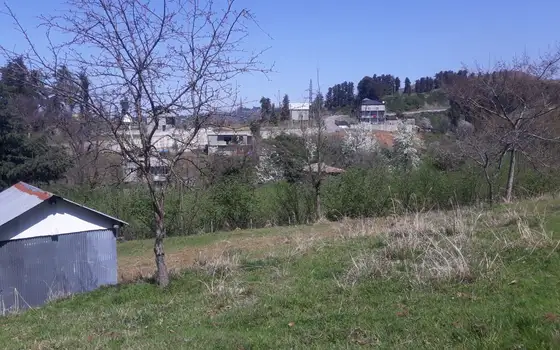 2794 m² Land Plot in Chakvi with Sea View, photo 5