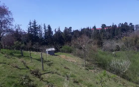 2794 m² Land Plot in Chakvi with Sea View, photo 10