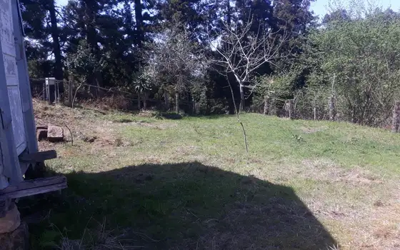 2794 m² Land Plot in Chakvi with Sea View, photo 7