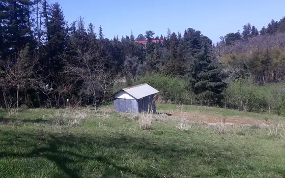 2794 m² Land Plot in Chakvi with Sea View, photo 8