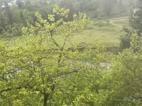 Продается частный дом на берегу реки.