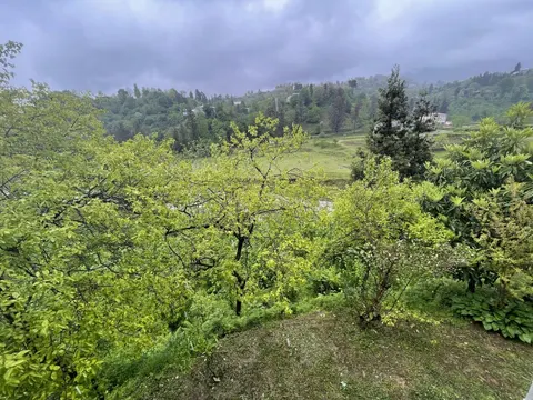 Продается частный дом на берегу реки.