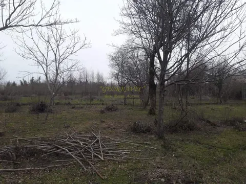 Продается земля несельскохозяйственного назначения в 200 метрах от моря. - სურათი 1