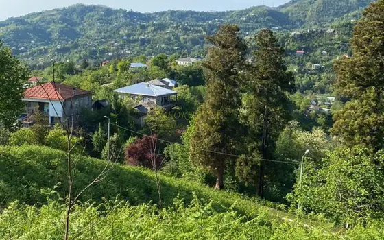 Продажа земельного участка, недалеко от Батуми, с видом на горы - სურათი 1