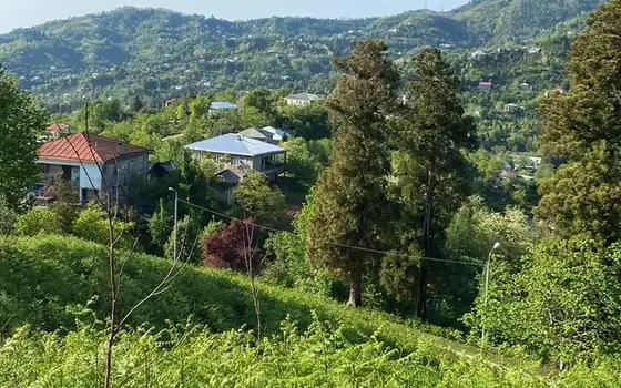 Участок 5350 м² у Батуми - სურათი 1