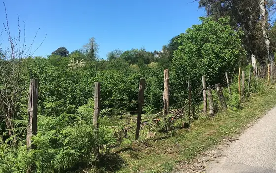 Продажа земли в Кобулети