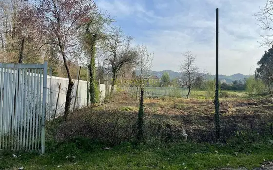 Продажа земли в Чакви - სურათი 1